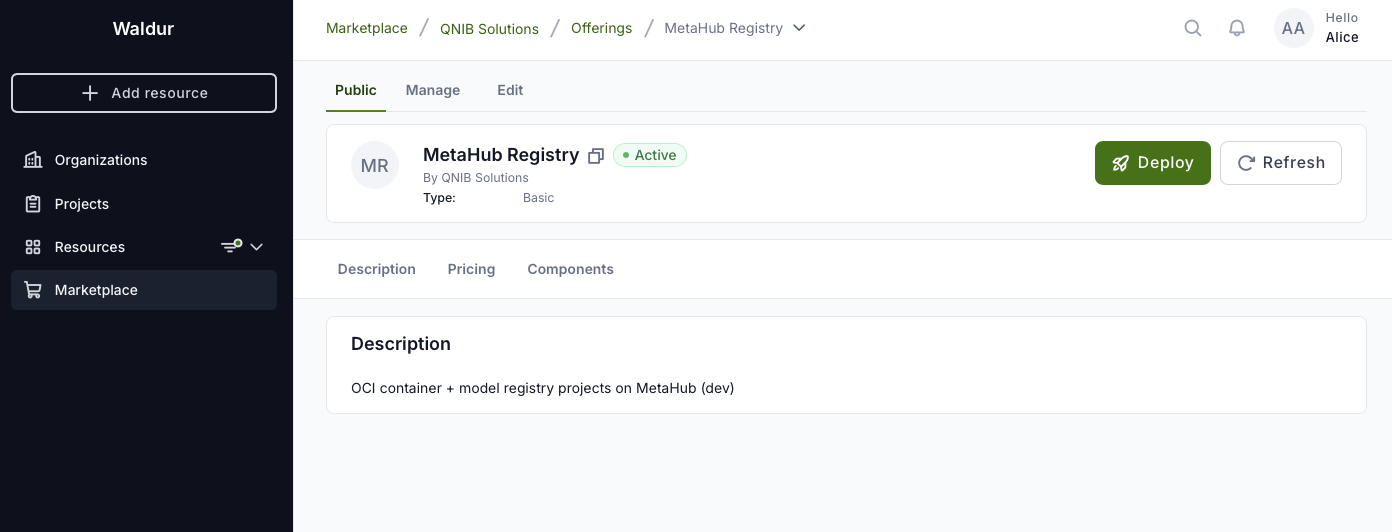Waldur marketplace showing the MetaHub Registry Project offering